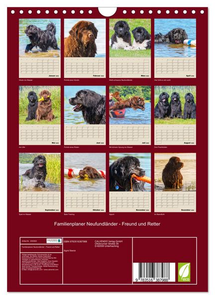 Produktbild: Familienplaner Neufundl&auml;nder - Freund und Retter (Wandkalender 2026 DIN A4 hoch), CALVENDO Monatskalender