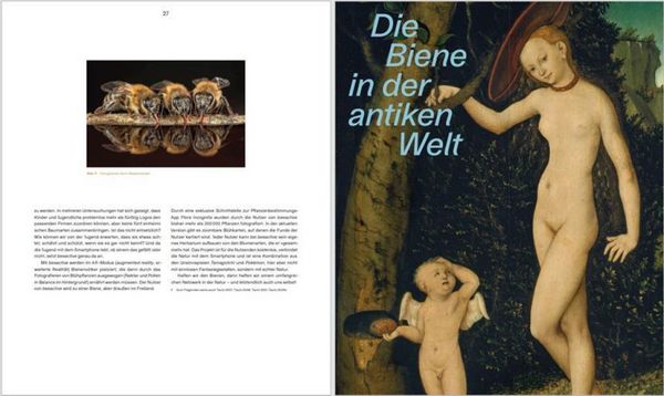 Produktbild: Honiggelb - Die Biene in der Kunst. Von der Renaissance bis in die Gegenwart