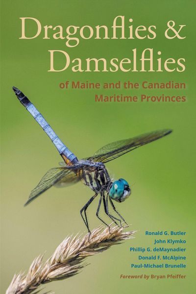 Produktbild: Dragonflies and Damselflies of Maine and the Canadian Maritime Provinces