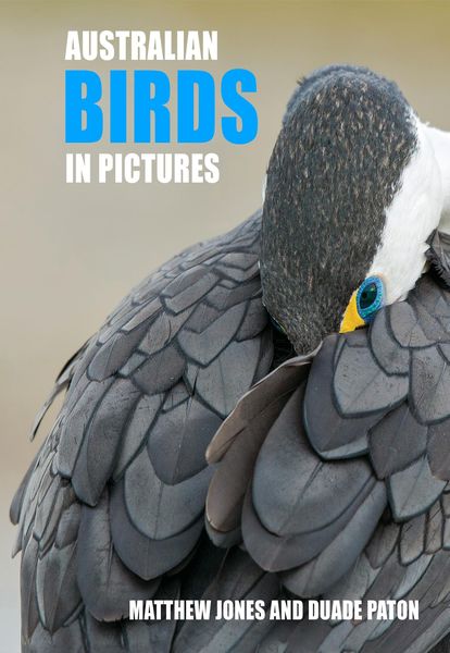 Produktbild: Paton, D: Australian Birds in Pictures