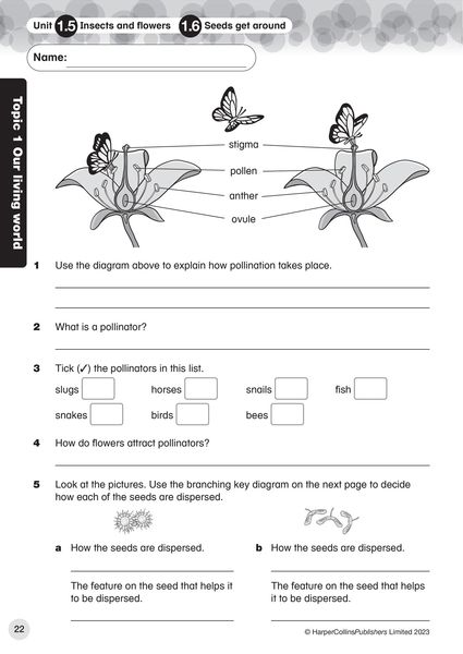 Produktbild: Collins International Primary Science