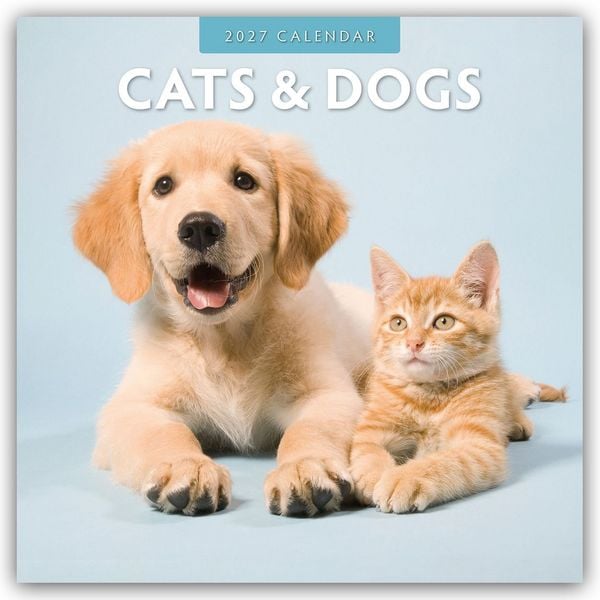 Produktbild: Cats & Dogs &ndash; Katzen & Hunde 2027 &ndash; 16-Monatskalender