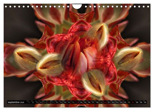 Produktbild: Bouquet d'un jour, bouquet pour toujours (Calendrier mural 2026 DIN A4 vertical), CALVENDO calendrier mensuel