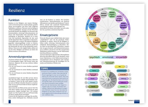 Produktbild: Praxisbuch Neue Hom&ouml;opathie. Band 2