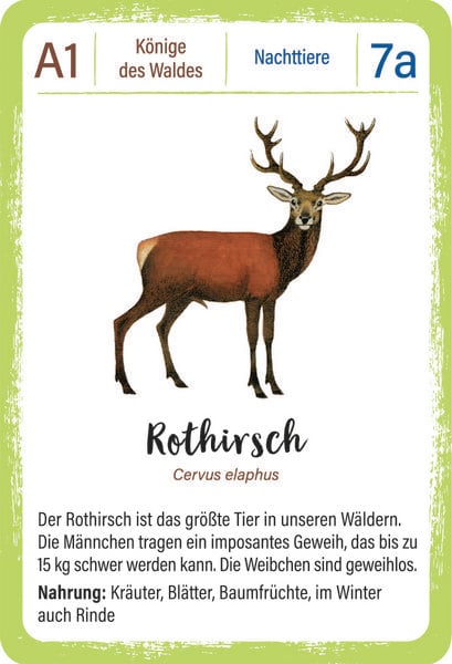 Produktbild: Expedition Natur Quartett Waldtiere