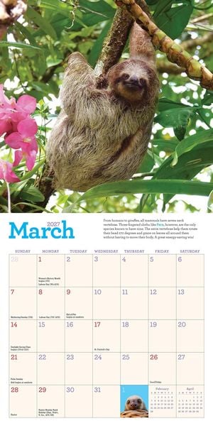 Produktbild: Original Sloths Mini Wall Calendar 2027