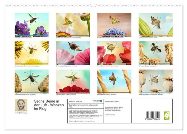 Produktbild: Sechs Beine in der Luft - Wanzen im Flug (hochwertiger Premium Wandkalender 2026 DIN A2 quer), Kunstdruck in Hochglanz