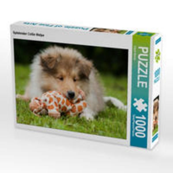 CALVENDO Puzzle Spielender Collie Welpe 1000 Teile Lege-Größe 64 x 48 cm Foto-Puzzle Bild von Sigrid Starick