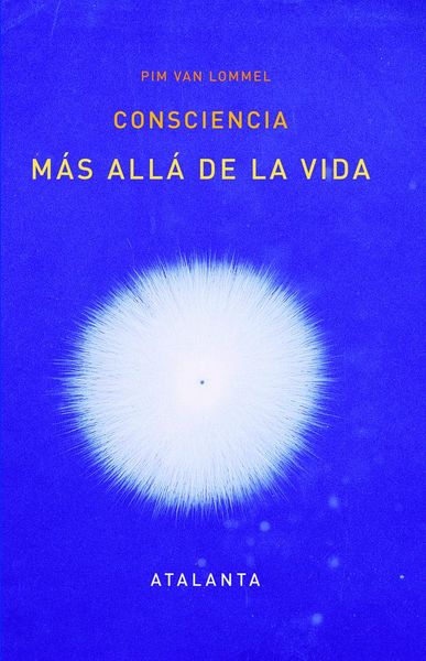 Produktbild: Consciencia m&aacute;s all&aacute; de la vida