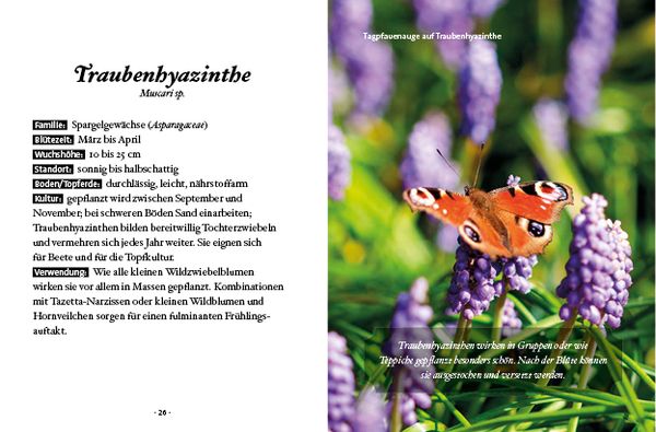 Produktbild: Das kleine Buch: Mein Garten für Bienen & Schmetterlinge