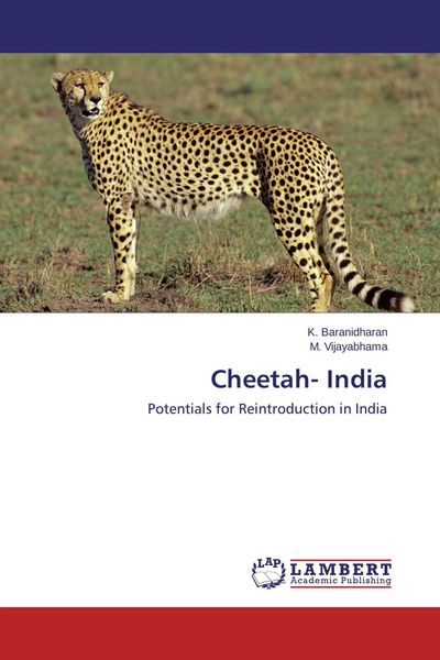 Produktbild: Cheetah- India