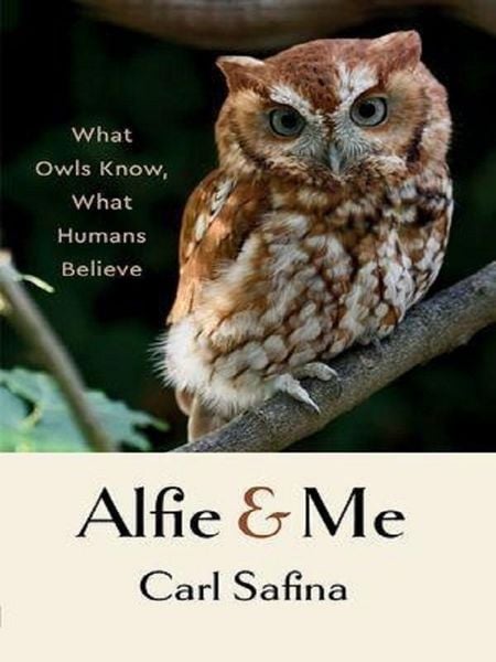 Produktbild: Alfie and Me