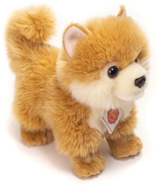 Produktbild: Zwergspitz, 22 cm
