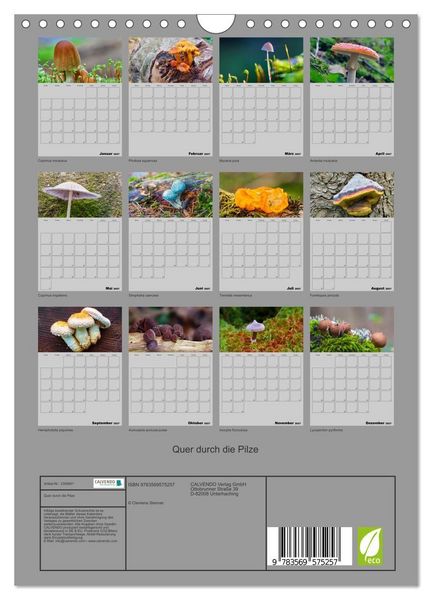 Produktbild: Quer durch die Pilze (Wandkalender 2027 DIN A4 hoch), CALVENDO Monatskalender