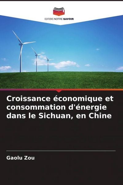 Produktbild: Croissance &eacute;conomique et consommation d'&eacute;nergie dans le Sichuan, en Chine