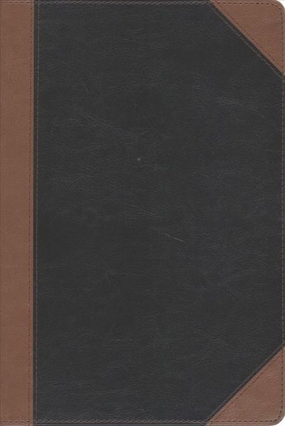 Produktbild: Mangum, B: NKJV, Faithlife Illustrated Study Bible, Leathers