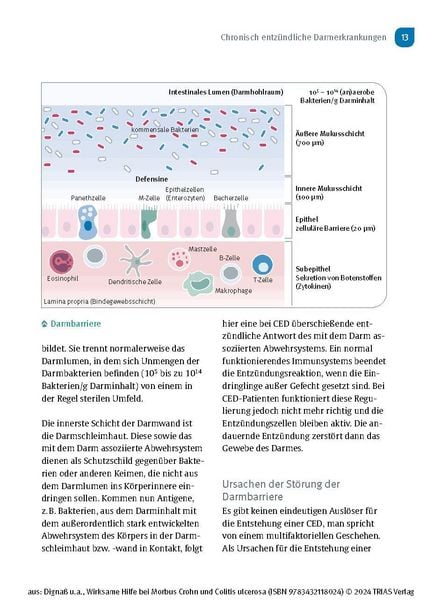 Produktbild: Wirksame Hilfe bei Morbus Crohn und Colitis ulcerosa