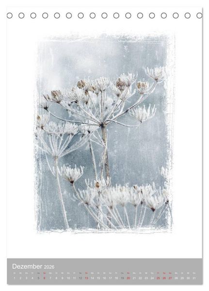 Produktbild: Kunstwerk Natur (Tischkalender 2026 DIN A5 hoch), CALVENDO Monatskalender
