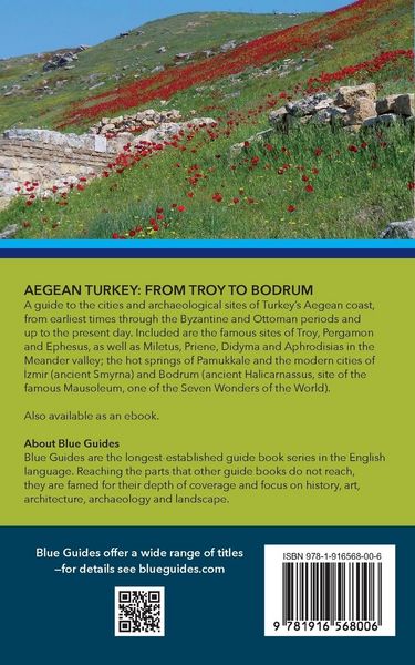 Produktbild: Blue Guide Aegean Turkey
