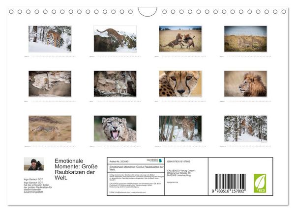 Produktbild: Emotionale Momente: Gro&szlig;e Raubkatzen der Welt. (Wandkalender 2026 DIN A4 quer), CALVENDO Monatskalender