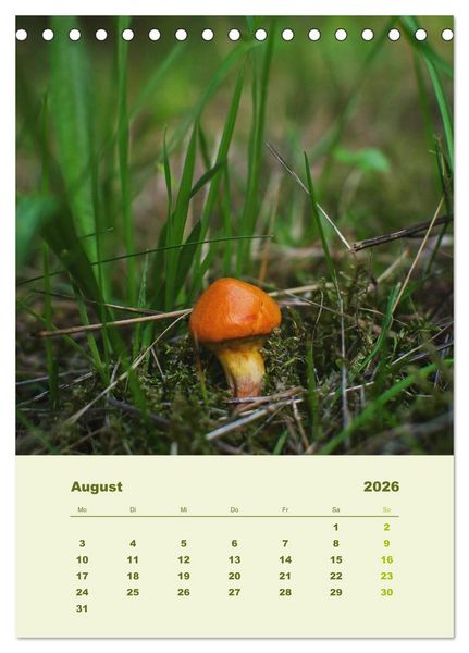 Produktbild: Wundersame Welt der Pilze (Tischkalender 2026 DIN A5 hoch), CALVENDO Monatskalender