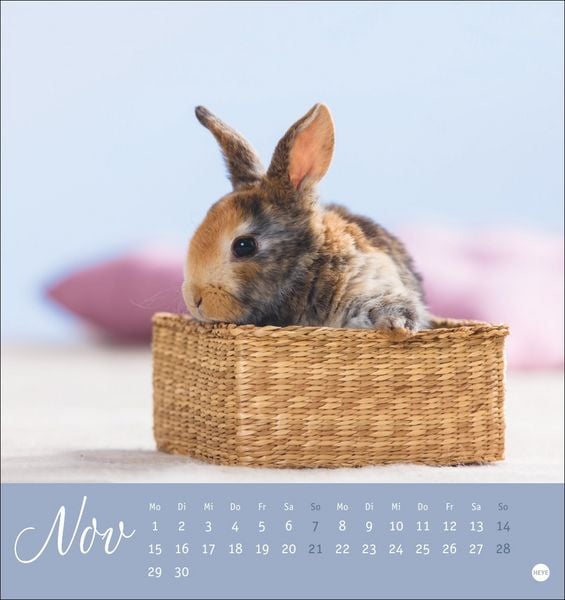 Produktbild: S&uuml;&szlig;e Kaninchen Postkartenkalender 2027
