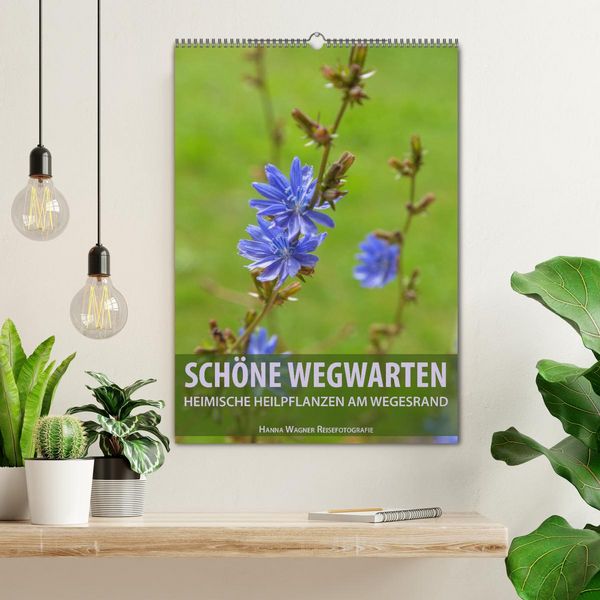 Produktbild: Sch&ouml;ne Wegwarten. Heimische Heilpflanzen am Wegesrand (Wandkalender 2026 DIN A2 hoch), CALVENDO Monatskalender