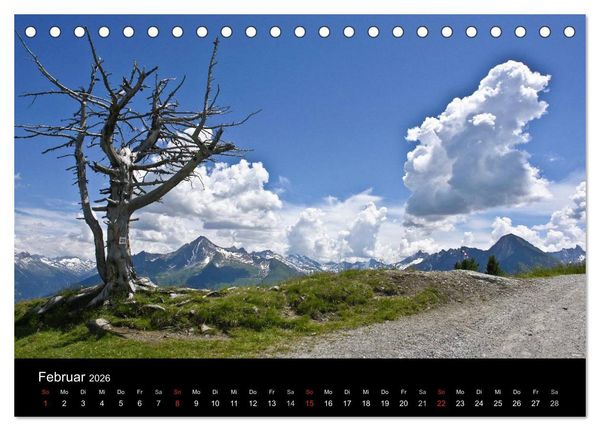 Produktbild: Baum-Variationen (Tischkalender 2026 DIN A5 quer), CALVENDO Monatskalender