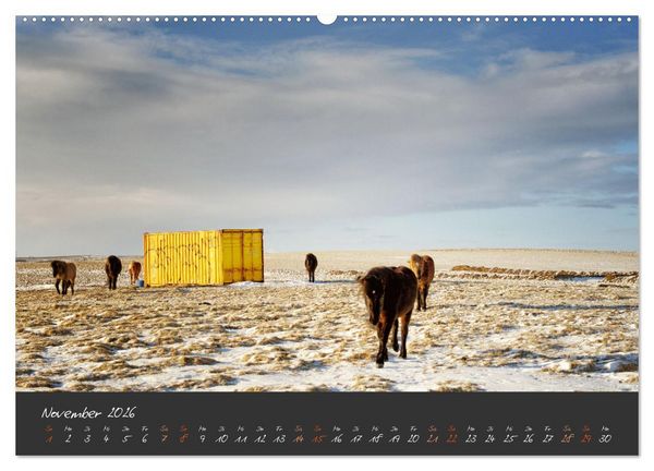 Produktbild: Islandpferde im Isi-Land (Wandkalender 2026 DIN A2 quer), CALVENDO Monatskalender