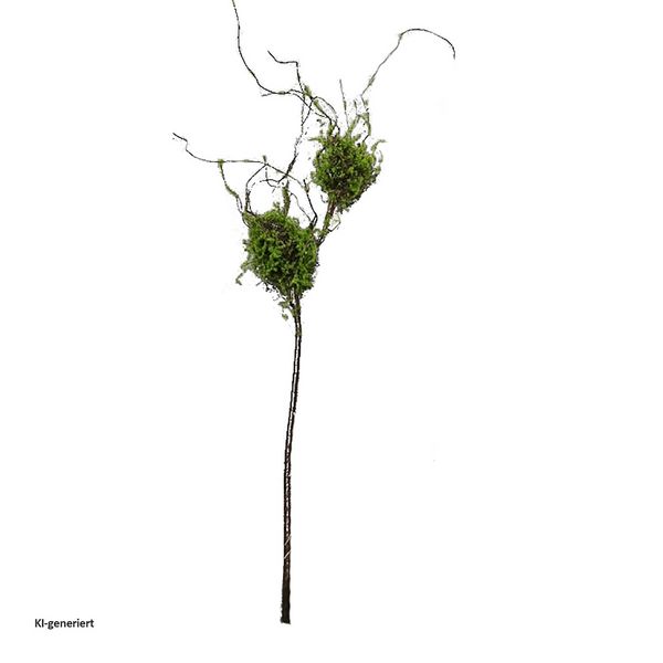 Produktbild: HTI-Living HTI-Living Zweig mit Vogelnestern Kunstpflanze Flora