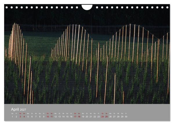 Produktbild: Hallertau (Wandkalender 2027 DIN A4 quer), CALVENDO Monatskalender