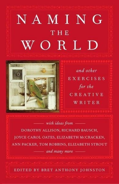 Produktbild: Naming the World