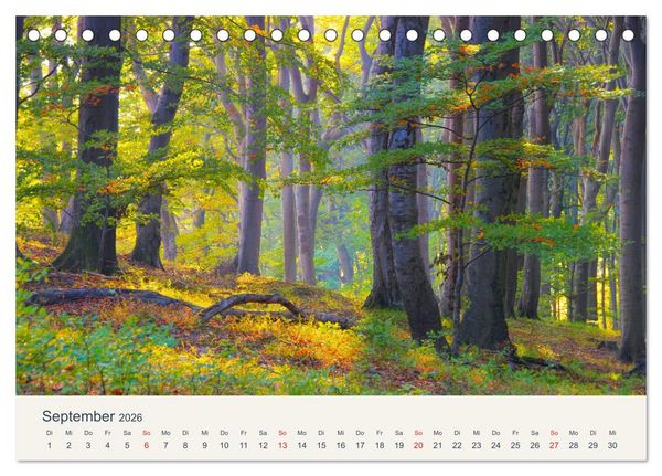 Produktbild: Sassnitz und die Kreidek&uuml;ste - Herbstimpressionen vom Hochuferweg Jasmund (Tischkalender 2026 DIN A5 quer), CALVENDO Monatskalender