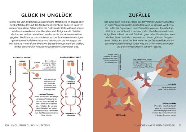 Produktbild: SIMPLY. Genetik