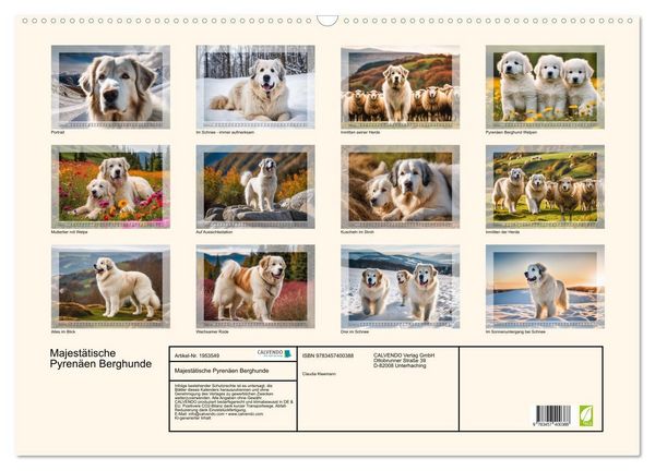 Produktbild: Majest&auml;tische Pyren&auml;en Berghunde (Wandkalender 2026 DIN A2 quer), CALVENDO Monatskalender