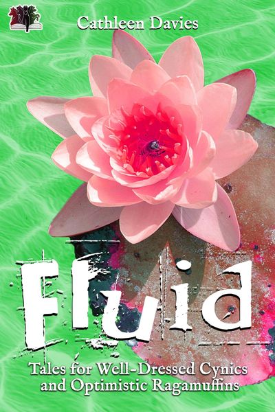 Produktbild: Fluid (Tales for Well-Dressed Cynics and Optimistic Ragamuffins, #3)