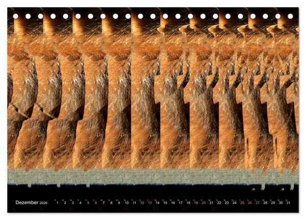 Produktbild: Magische Bilder - 3D Stereogramme (Tischkalender 2026 DIN A5 quer), CALVENDO Monatskalender