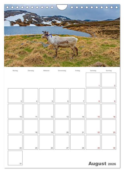 Produktbild: Norwegen - Reiseplaner (Wandkalender 2026 DIN A4 hoch), CALVENDO Monatskalender