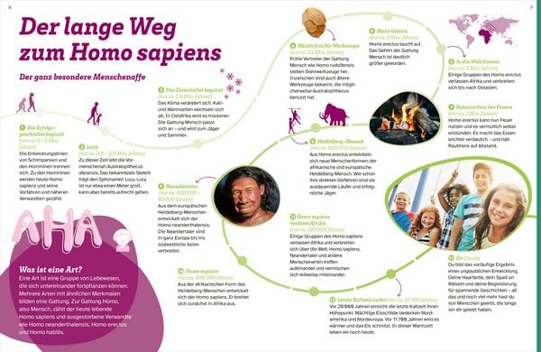 Produktbild: WAS IST WAS Der Mensch. Von der Steinzeit bis zu dir