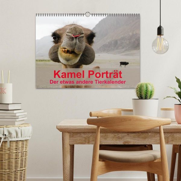 Produktbild: Kamel Portr&auml;t (Wandkalender 2027 DIN A3 quer), CALVENDO Monatskalender