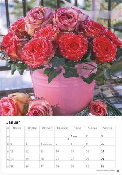 Produktbild: Rosenpracht Kalender 2027