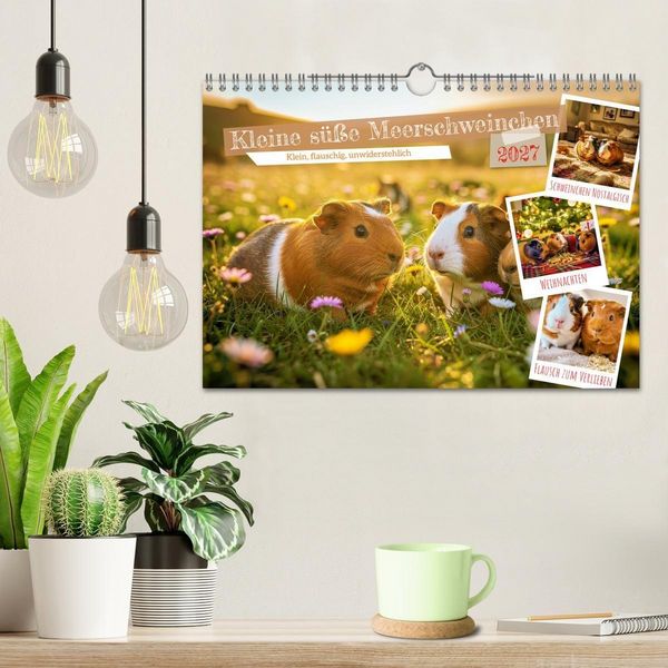 Produktbild: Kleine s&uuml;&szlig;e Meerschweinchen (Wandkalender 2027 DIN A4 quer), CALVENDO Monatskalender