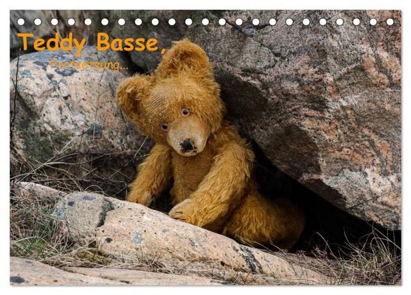Produktbild: Teddy Basse, Fortsetzung... (Tischkalender 2026 DIN A5 quer), CALVENDO Monatskalender