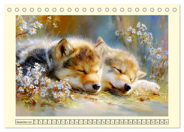 Produktbild: Waldseelen. Verspielte W&ouml;lfe im Licht der Natur (Tischkalender 2027 DIN A5 quer), CALVENDO Monatskalender