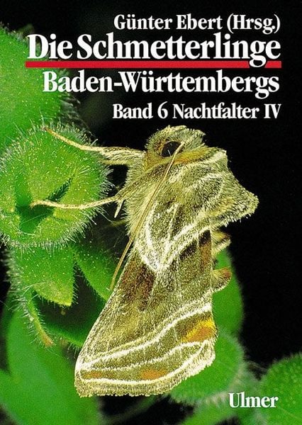 Produktbild: Die Schmetterlinge Baden-W&uuml;rttembergs Band 6 - Nachtfalter IV