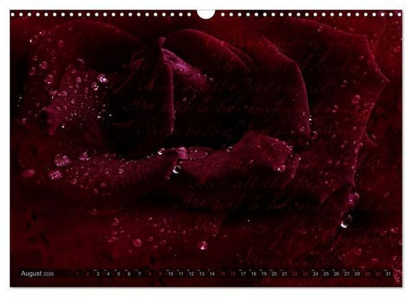 Produktbild: Gothic Rose - Rosen aus dem Garten der Finsternis (Wandkalender 2026 DIN A3 quer), CALVENDO Monatskalender