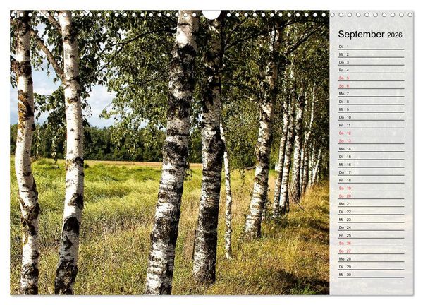 Produktbild: Litauen - Streifz&uuml;ge durch die junge Ostseerepublik (Wandkalender 2026 DIN A3 quer), CALVENDO Monatskalender