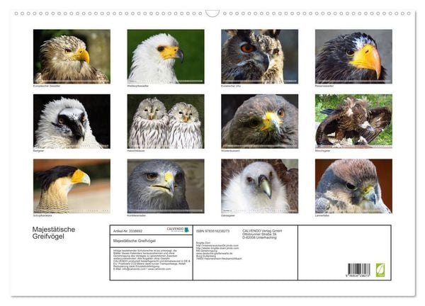 Produktbild: Majest&auml;tische Greifv&ouml;gel (Wandkalender 2026 DIN A2 quer), CALVENDO Monatskalender