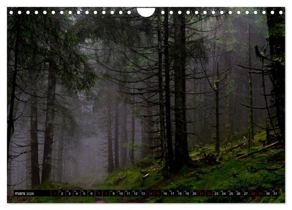 Produktbild: Lumi&egrave;res des Vosges (Calendrier mural 2026 DIN A4 vertical), CALVENDO calendrier mensuel