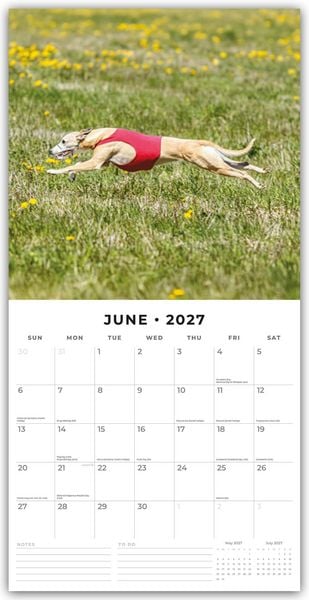 Produktbild: Whippets &ndash; Whippet 2027 &ndash; 16-Monatskalender